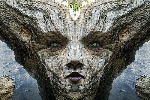 tree of life man and the forest