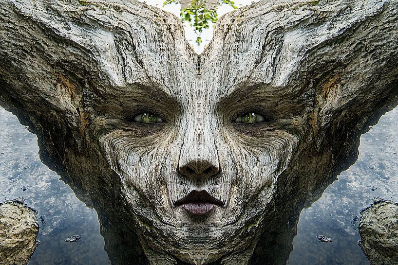 arbre de vie l'homme et la foret par Egon Zitter