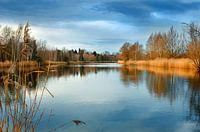 By the lake