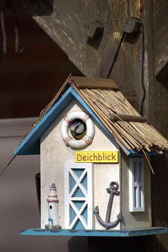 Wer beobachtet wen?