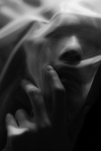 Gesluierd - Sensuele abstractie in zwart-wit