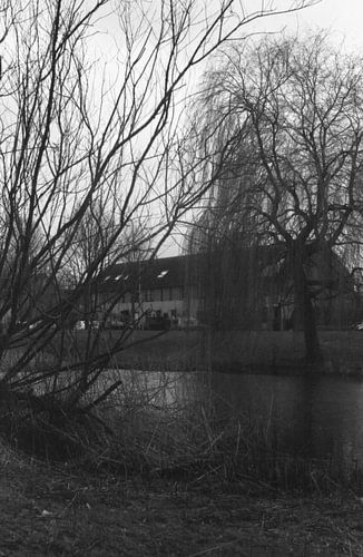 Wat bomen en een huis