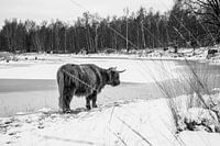 Natur-Highlander