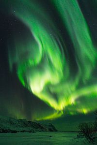 Northern lights over a frozen lake in a snow covered winter landscape in the Lofoten