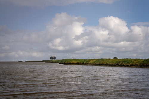 Vogelkijkhut Kiekkaaste aan de Dollard, Groningen