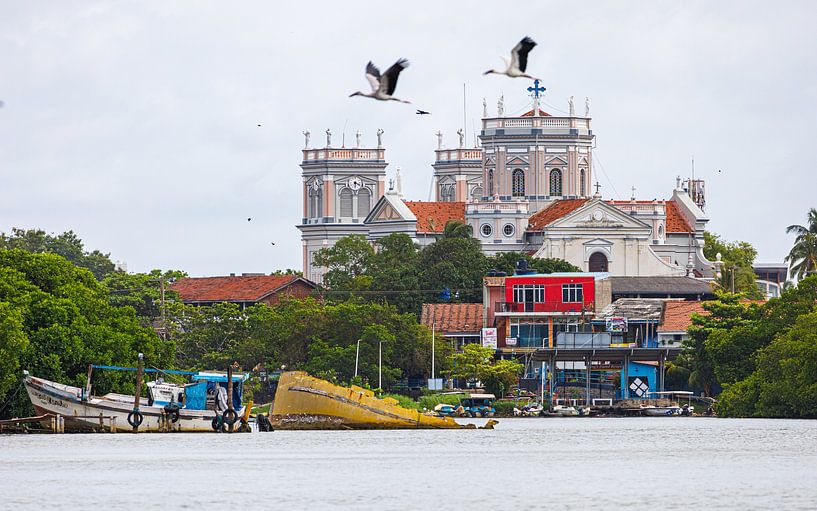 Bootsfahrt auf dem Dutch Canal bei Negombo, Sri Lanka. von Patrick Fotografeert