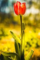 Rathenow „Stadt der Optik“