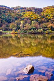 De moezel in herfstkleuren von Studio  Milaan