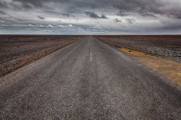 Road to nowhere by Bart van Dinten