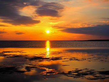 Sonnenuntergang im Wattenmeer an der Nordsee von Animaflora PicsStock