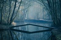 Het mysterieuze Dwaal park in Hoorn