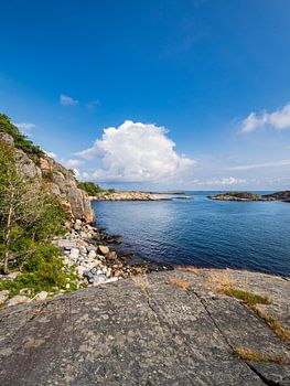 Landschaft im Naherholungsgebiet Hasseltangen in Norwegen