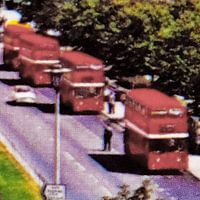 Red Buses