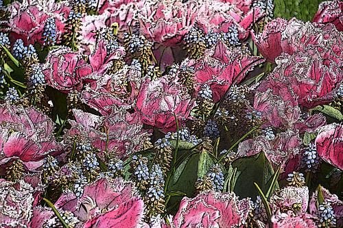 Bloemen