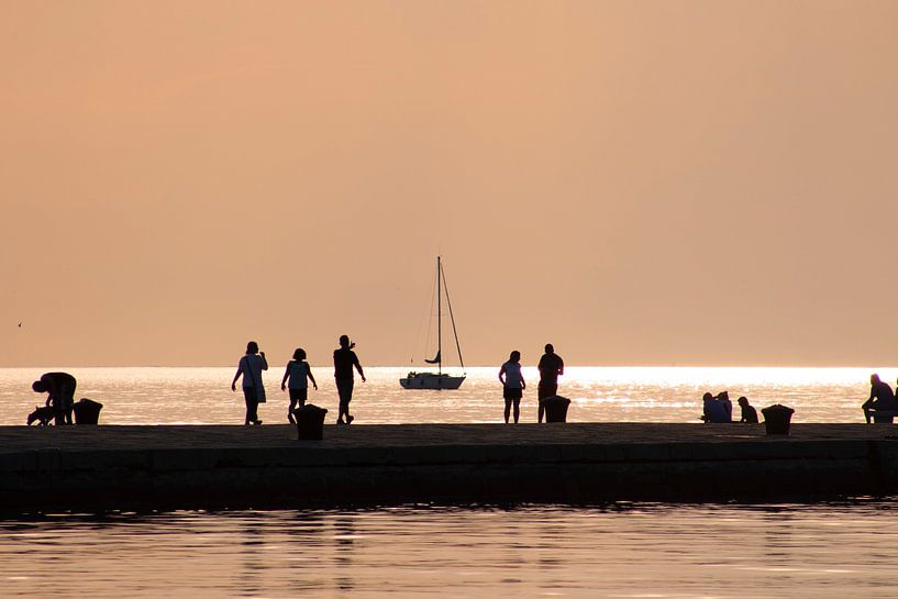 Sunset shadows during the summer by Vicente M