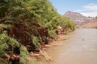 colorado river, grand canyon