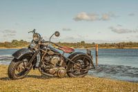 coloured harley davidson