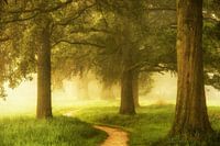 Path or Awakening