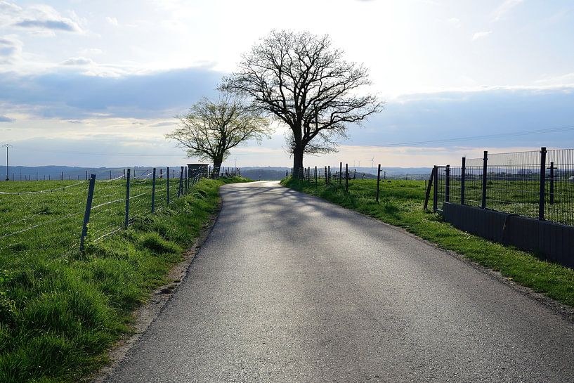 Rustige landweg van Frank's Awesome Travels