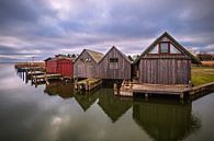 Bootshäuser im Hafen von Althagen auf dem Fischland-Darß von Rico Ködder Miniaturansicht