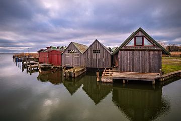 Boathouses in the harbour of Althagen at Fischland-Darß