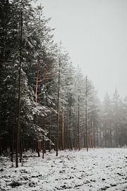 Kleine Schneeschicht auf einem nebligen Lemelerberg von Holly Klein Oonk