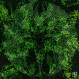 New Growth Nr. 44 by Winfried Sitte