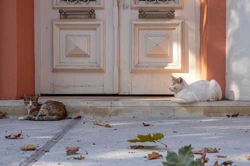 Un peu de sérénité grecque