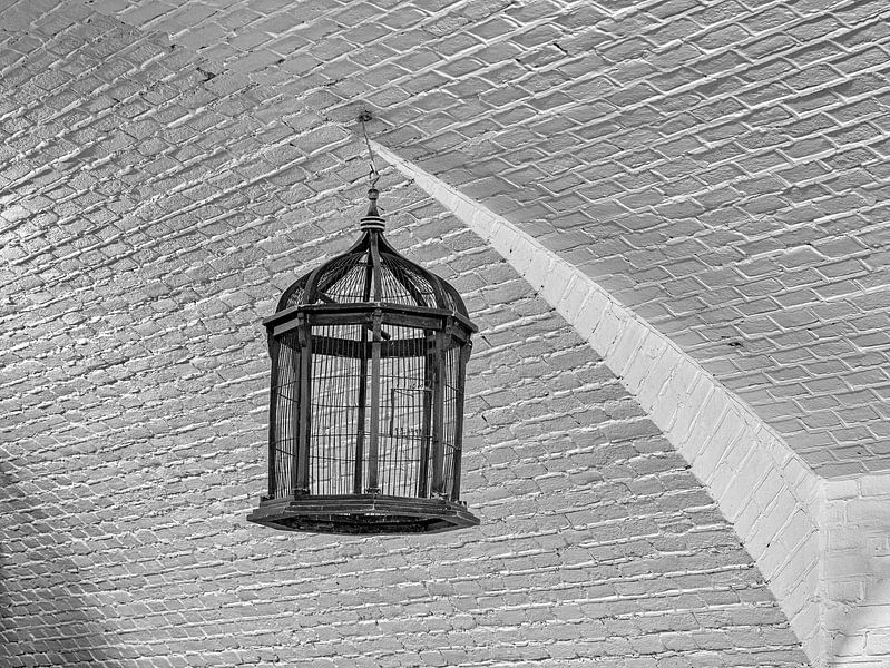 Cage by Han van der Staaij