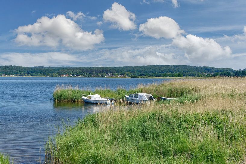 Selliner See auf der Insel Rügen von Peter Eckert