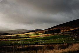 Landschap in Cairngorms National Park in Schotland van RUUDC Fotografie