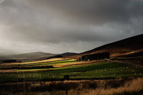 Landschaft im Cairngorms-Nationalpark in Schottland