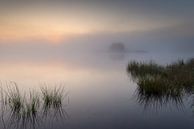 Strabrechtse Heide 222 by Deshamer thumbnail