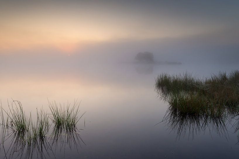 Strabrechtse Heide 222 par Deshamer