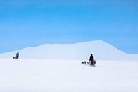 Husky sledeteams over bergpas met helder blauwe lucht van Martijn Smeets thumbnail