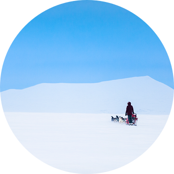 Husky sledeteams over bergpas met helder blauwe lucht van Martijn Smeets