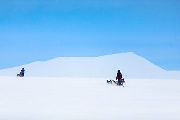 Husky sled teams over mountain pass with clear blue sky by Martijn Smeets