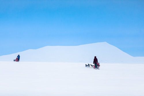 Husky sled teams over mountain pass with clear blue sky