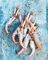 SF12478080 Still life of fresh sea prawns