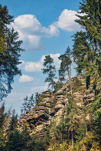 Puur natuur in Bad Schandau - Kirnitzschklamm