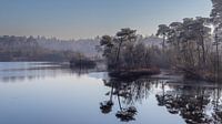 Landscape Voorste Goorven