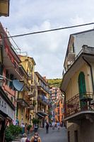 Cityscape of Manarola