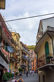 Cityscape of Manarola by Mark Scholten