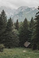 Berghut
