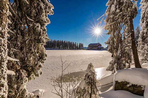 Winter aan de Mummelsee in het Zwarte Woud