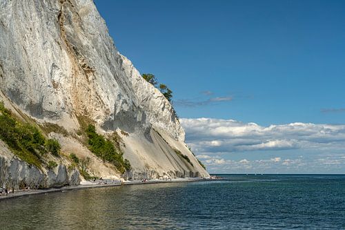 Krijtsteen Møns Klint, Mön Eiland, Denemarken