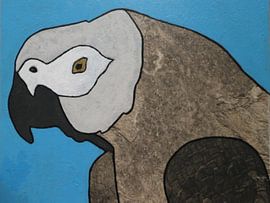 Grey parrot by hou2use