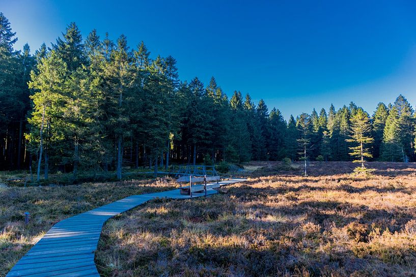 Herfstwandeling op de hoogten van het Thüringer Wald van Oliver Hlavaty