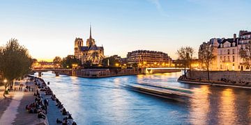Kathedraal Notre-Dame en de Seine in Parijs van Werner Dieterich