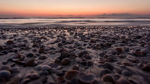 Schelpen bij zonsondergang